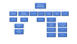 Структура управления ДДТ